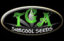 TGA Subcool Seeds TGA Subcool Seeds