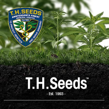 TH Seeds