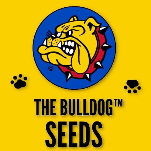 Bulldog Seeds