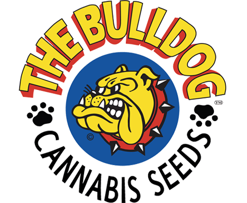 Bulldog Seeds Bulldog Seeds
