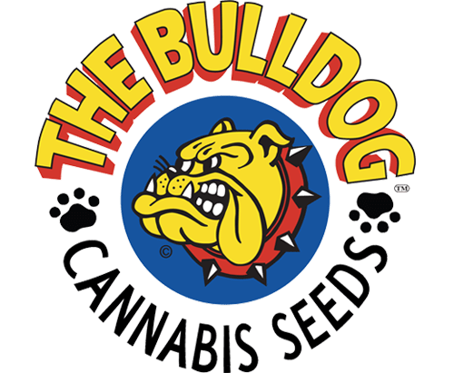 Bulldog Seeds Bulldog Seeds