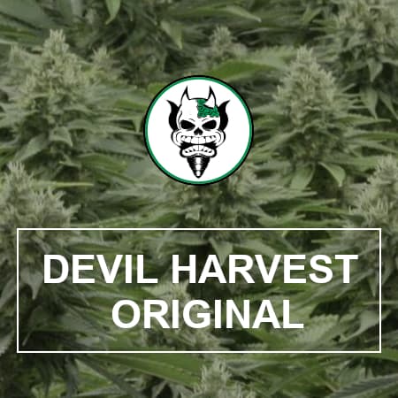 The Devil's Harvest Seed Company