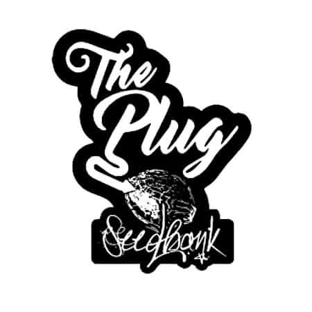 The Plug Seedbank The Plug Seedbank