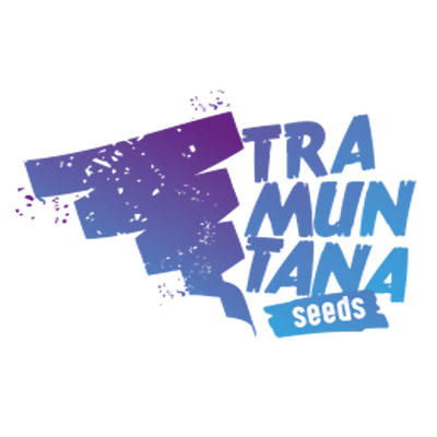Marke: Tramuntana Seeds Marke: Tramuntana Seeds