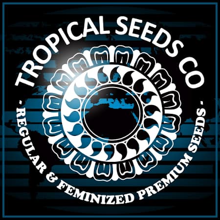 Tropical Seeds Company Tropical Seeds Company