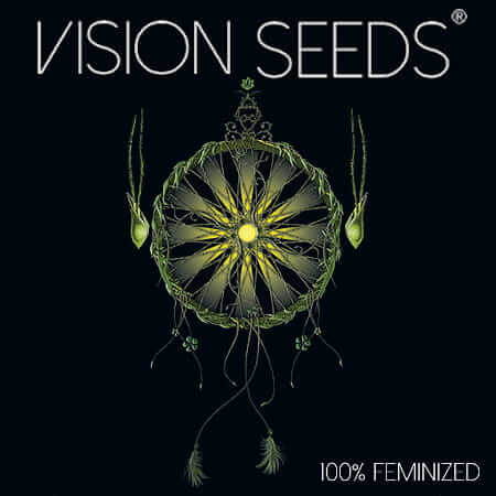 Vision Seeds Vision Seeds