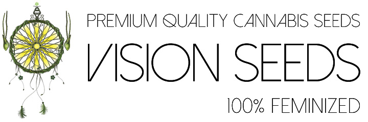 Vision Seeds Vision Seeds
