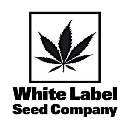 White Label