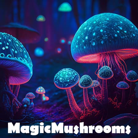 Magic Mushrooms