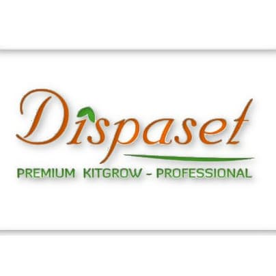 Dispaset Dispaset