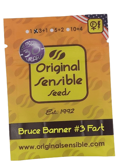 Bruce Banner #3 Fast > Original Sensible Seeds | Feminisierte Hanfsamen  |  Indica