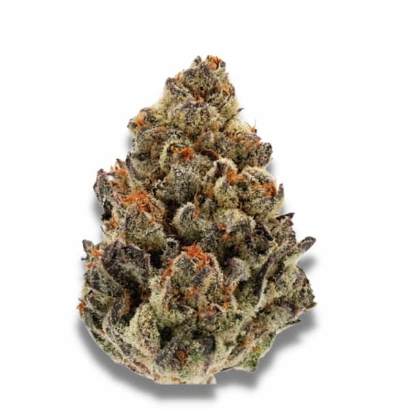 Bruce Banner Seed > Growers Choice | Feminized Cannabis   |  Sativa