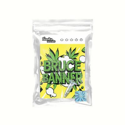 Bruce Banner Samen > Linda Seeds | Hanfsamen Empfehlungen  |  Günstige Hanfsamen
