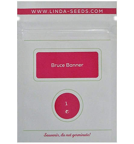 Bruce Banner > Linda Seeds | Cannabis seeds recommendations  |  Affordable Cannabis