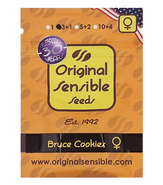 Bruce Cookies > Original Sensible Seeds | Feminized Marijuana   |  Indica