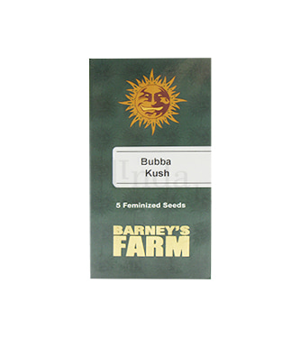 Bubba Kush > Barneys Farm | Feminized Marijuana   |  Indica