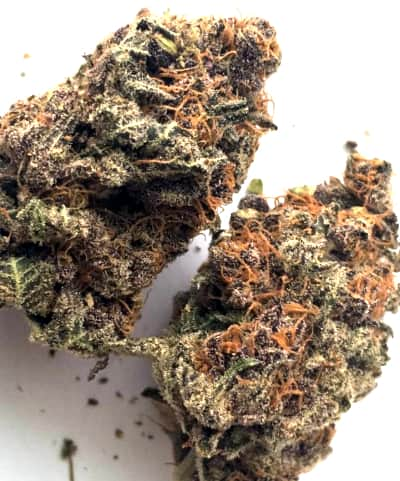 Bubba Kush x PCK > ACE Seeds | Feminized Marijuana   |  Indica