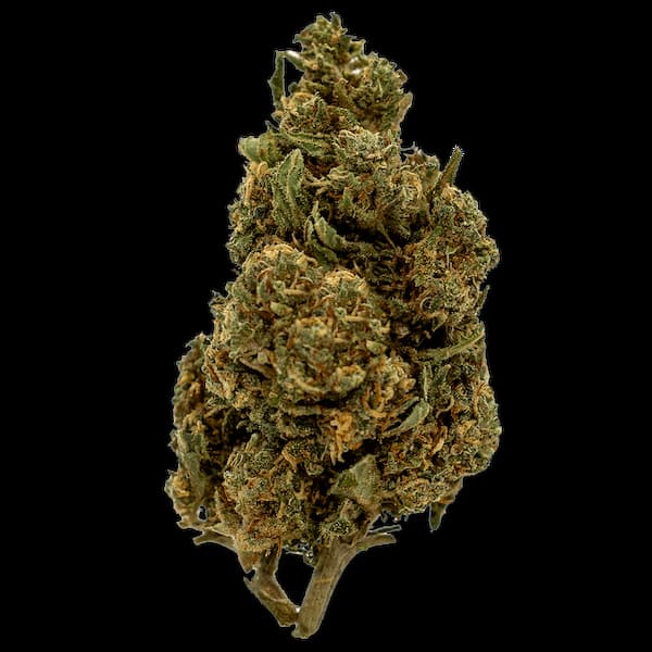 Bubble Gum CBD > Goodies | CBD Flowers