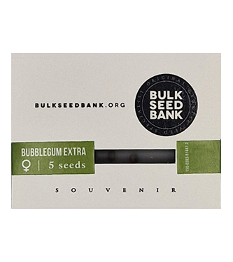 Bubblegum Extra > Bulk Seed Bank | Graines Féminisées  |  Hybride