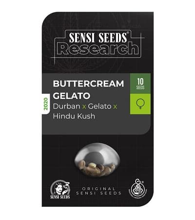 Buttercream Gelato > Sensi Seeds | Feminized Marijuana   |  Indica