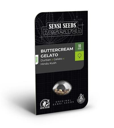 Buttercream Gelato > Sensi Seeds | Feminisierte Hanfsamen  |  Indica