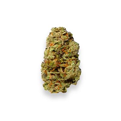 C. Banana Auto Seed > Philosopher Seeds | Autoflowering Cannabis   |  Hybrid