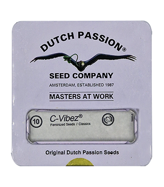 C-Vibez > Dutch Passion | Feminized Marijuana   |  Indica
