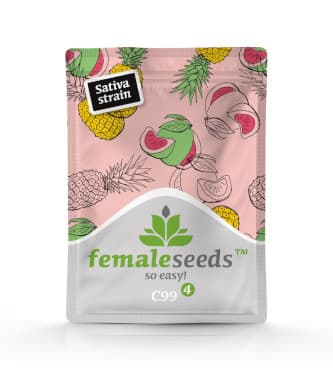 C99 > Female Seeds | Semillas feminizadas  |  Sativa
