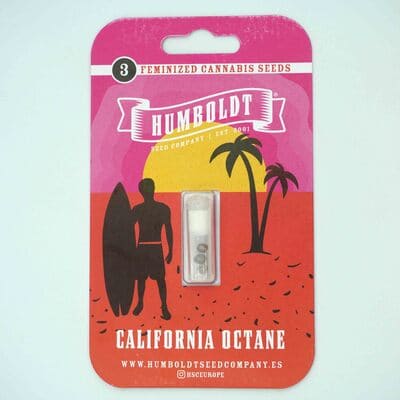 California Octane semilla > Humboldt Seed Company | Semillas feminizadas  |  Híbrido
