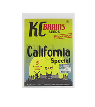 California Special > KC Brains | Semillas feminizadas  |  Indica