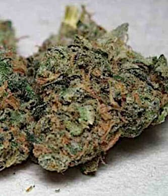 California Special > KC Brains | Feminized Marijuana   |  Indica
