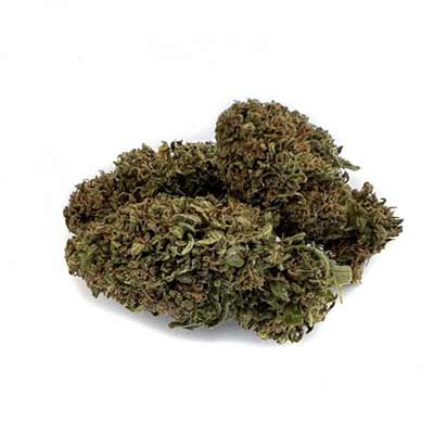 Candy Breath > Paradise Seeds | Feminisierte Hanfsamen  |  Hybrid