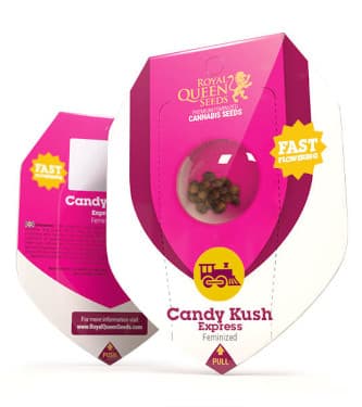 Candy Kush Express > Royal Queen Seeds | Feminisierte Hanfsamen  |  Hybrid