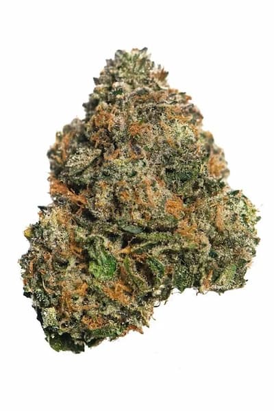 Candy Zour Seed > Mamiko Seeds | Regular Cannabis   |  Hybrid
