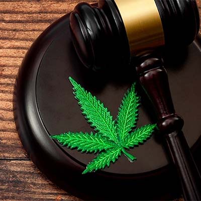 Ein Cannabisblatt neben einem Richterhammer, symbolisch für die rechtlichen Veränderungen in Deutschland in den letzten Jahren.