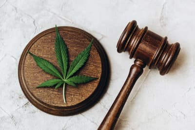 Richterhammer und Pflanzenblatt der Droge Cannabis 