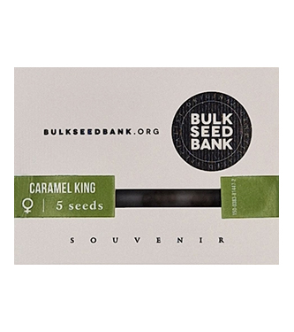 Caramel King > Bulk Seed Bank | Graines Féminisées  |  Hybride
