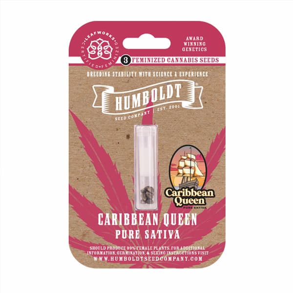 Caribbean Queen Seed > Humboldt Seed Company | Feminized Cannabis   |  Sativa