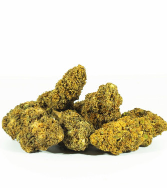 Amnesia Haze Only CBD Fans > hierba CBD | Productos de CBD