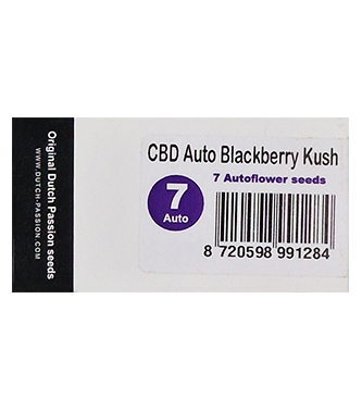 CBD Auto Blackberry Kush > Dutch Passion | CBD cannabis seeds  |  Indica