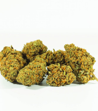 Cheese OG Only CBD Fans > CBD Gras | CBD Produkte