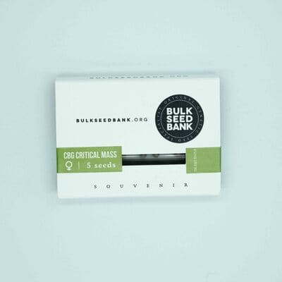 CBD Critical > Bulk Seed Bank | CBD cannabis seeds  |  Hybrid