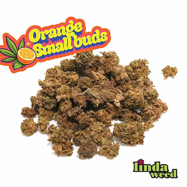 CBD Orange  Small Buds > Linda Weed | CBD Blüten