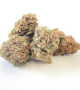 Amnesia Kush CBD > CBD weed | CBD Products