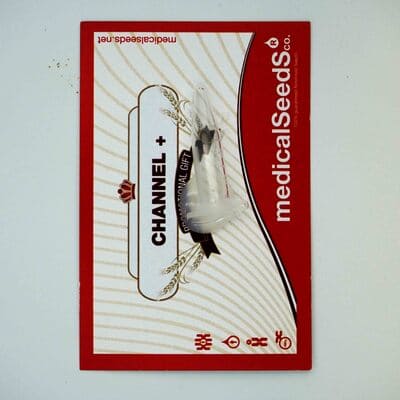 Channel+ graines > Medical Seeds Co. Channel+ graines > Medical Seeds Co. | Graines Féminisées  |  Hybride