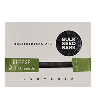 Cheese > Bulk Seed Bank | Semillas feminizadas  |  Índica