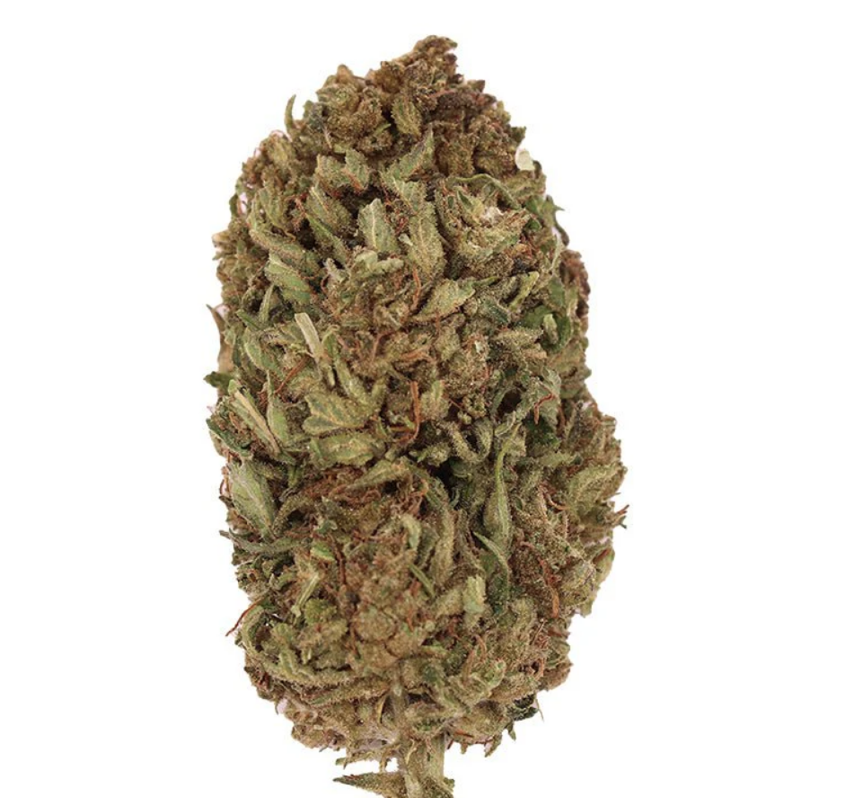 Chemberries > White Label | Feminisierte Hanfsamen  |  Hybrid