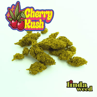 Cherry Kush PHC CBD > Linda Weed | CBD Blüten