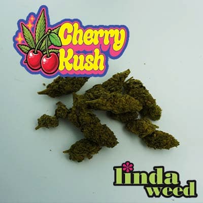Cherry Kush PHC CBD > Linda Weed | CBD Blüten