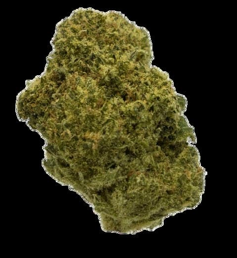 Cherry Wine CBD Indoor  > North Spices | CBD Flowers